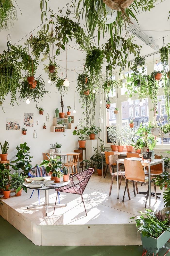 nội thất quán cafe không gian xanh