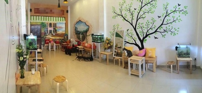 Độc Đáo Mô Hình Kinh Doanh Cafe Thú Cưng Giữa Sài Gòn