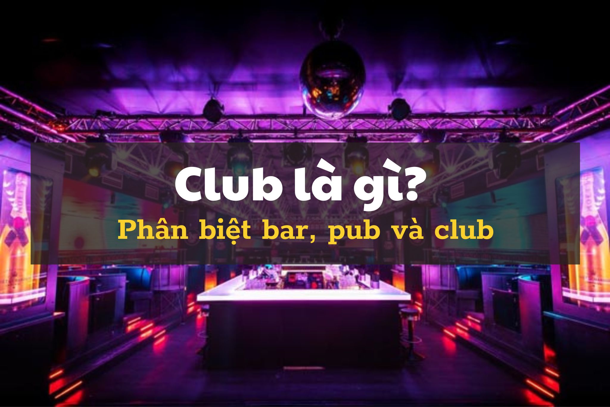 Club là gì? Phân biệt sự khác nhau giữa bar, pub và club