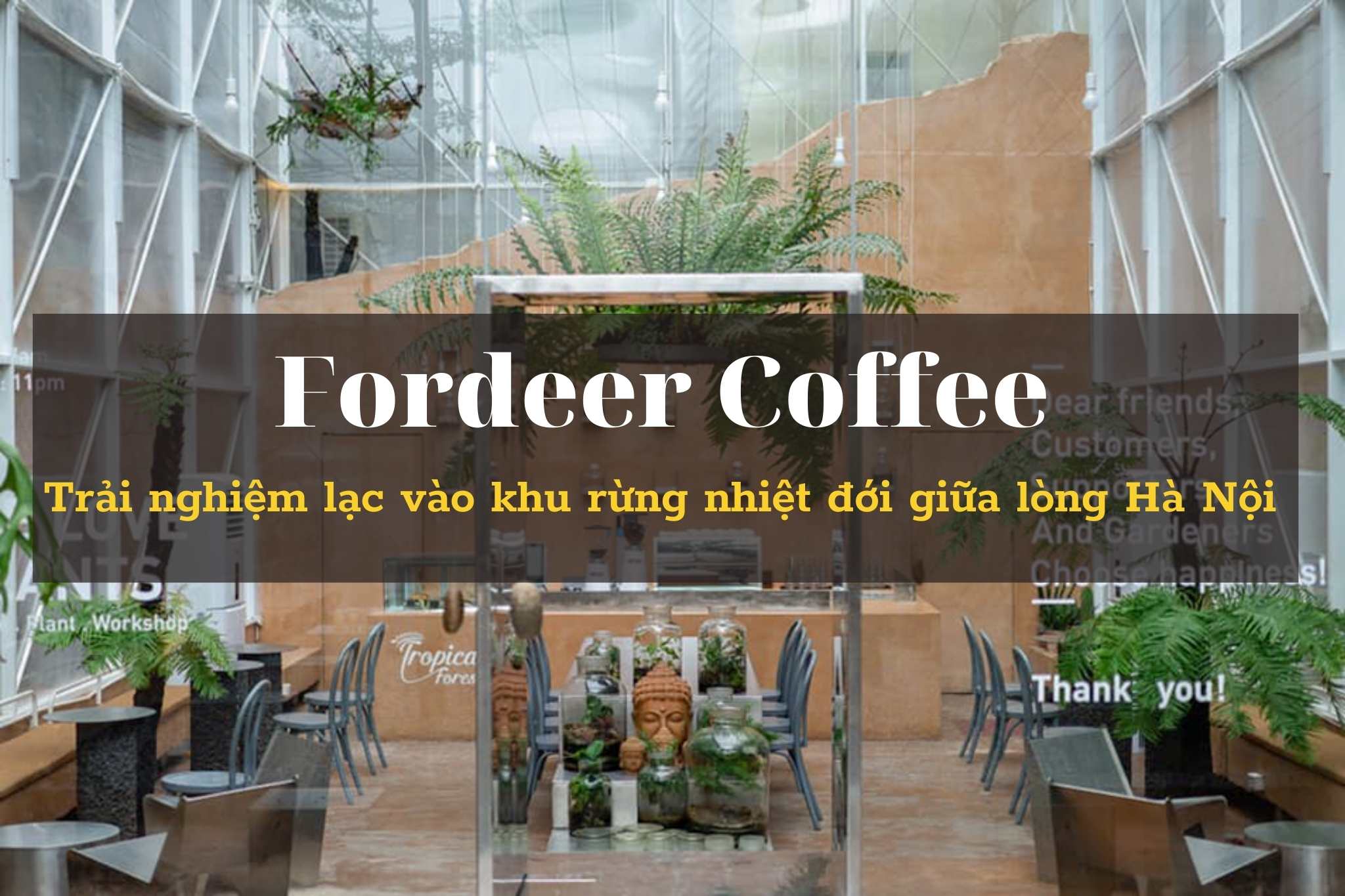 Khám phá không gian xanh trong thiết kế Fordeer Coffee