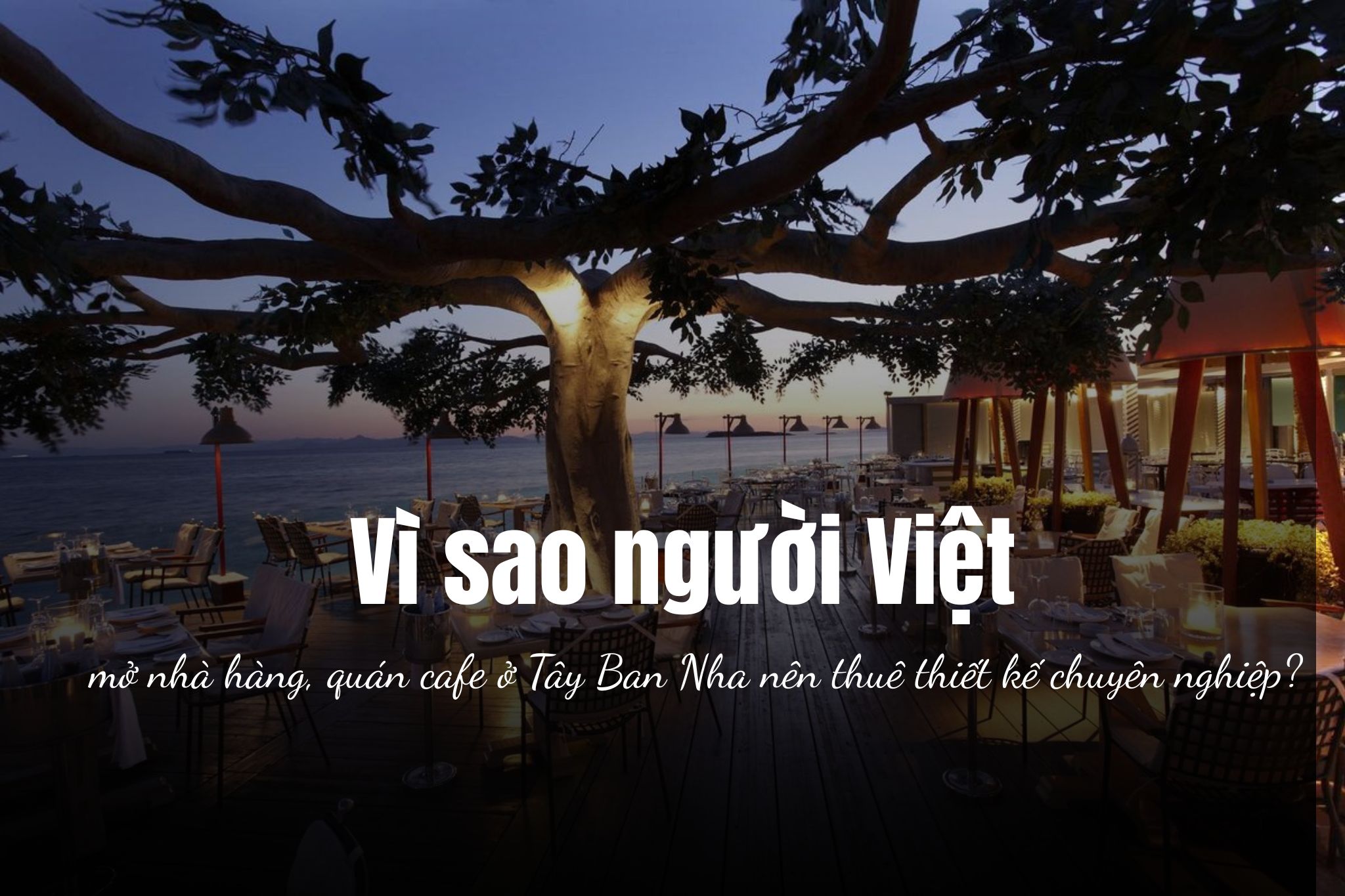 Vì sao người Việt mở nhà hàng, quán cafe ở Tây Ban Nha nên thuê thiết kế chuyên nghiệp?