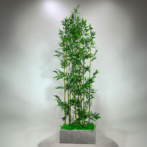 Loại cây xanh phù hợp cho quán cafe sân vườn